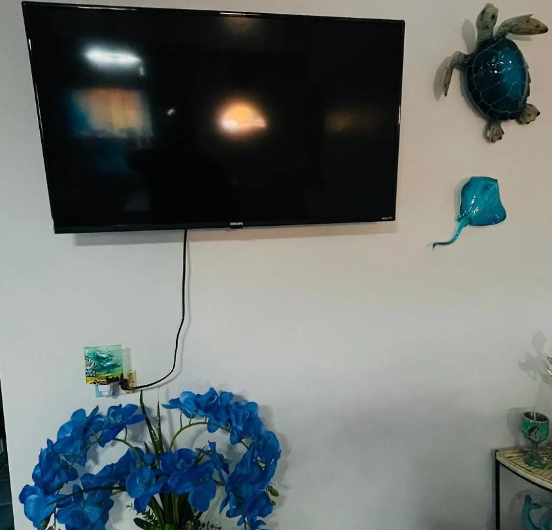 Apartment Blue Paradise Patricks Island Cayman Islands